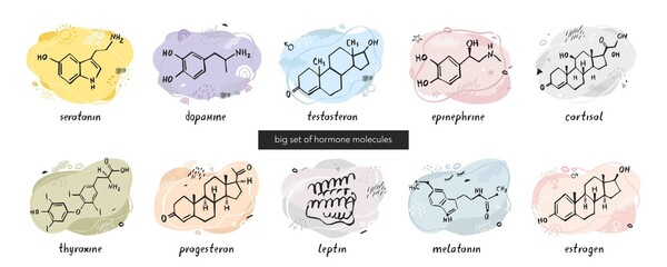 Big set with molecules of the hormones serotonin, dopamine, testosterone, endorphin, cortisol, thyroxine, progesterone, leptin, melatonin, and estrogen on an abstract background. Vector illustration.