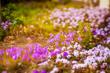 芸術アートの空間的表現