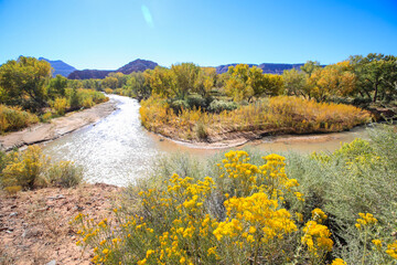 Virgin River in Autumn, Zion National Park, Utah