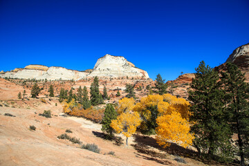 Zion National Park, Utah