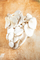 raw and fresh Oyster mushroom on table with copy space