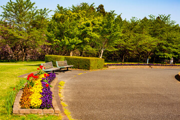 群馬の素敵な公園で散歩