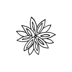 Holiday flower doodle. Anise spice in vector. Image for web, print, holiday posters and cards.