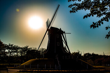 太陽光ので照らされたシルエット