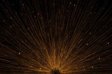 Obraz premium fireworks in the night