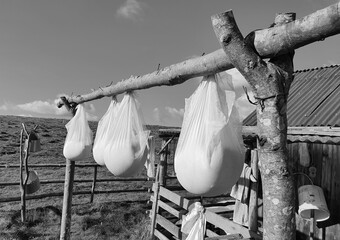 Old traditional way of cheese making by drying it in sheepfolds