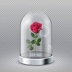 Rose in glass dome. Isolated beautiful red flower under transparent flask. Fairy tale symbol, beauty interior decoration vector illustration. Rose bloom under glass, flower in flask dome