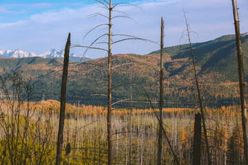  Glacier National Park, Montana
