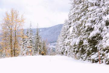 Lookout Pass Ski & Recreation Area, Idaho