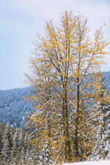 Lookout Pass Ski & Recreation Area, Idaho