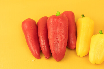 Fresh paprika on a yellow background