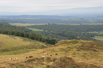 landscape with hills and prairies in auvergne (france)