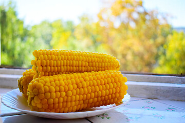 three boiled yellow corn lie on a light plate near a transparent window