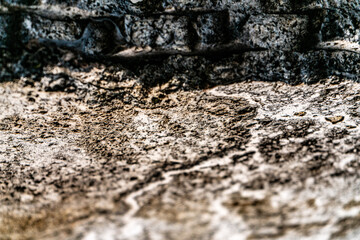 Textura roca