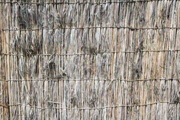 Texture background wall dry palm leaves or straw.
