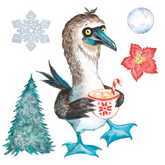 Cheerful blue-footed bird booby watercolor illustration, Antarctic animal, snowflake bird, christmas tree, christmas picture