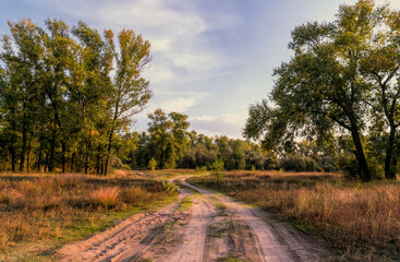 Sunny autumn evening over the hollow