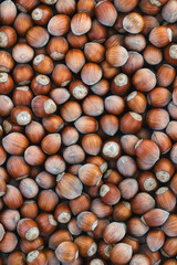 Hazelnuts background