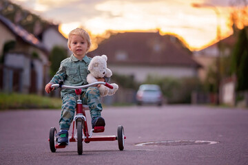 Toddler child, blond boy, riding tricycle in a village small road on sunset - obrazy, fototapety, plakaty