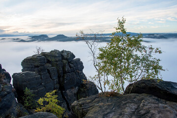 Dichte Nebenschwaden über dem Elbsandsteingebirge, Ausblick vom Lilienstein