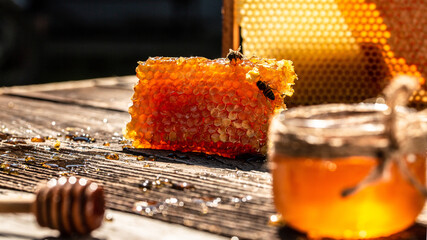Sweet honey, pieces of combs and honey dipper. Honey dripping from honey dipper. Honey, Honeycomb, Honey Bee. Beekeeping concept. Long banner format