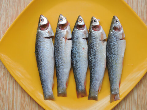 Labeo bata is a fish in genus Labeo. It is in the family Cyprinidae which is widespread in India, Nepal, Bangladesh, Pakistan and Myanmar. It is known as Bhangan in local language in India. 