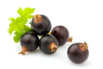 Black currant berries with leaf.