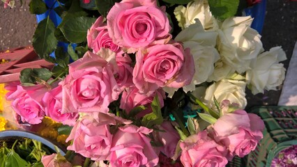 Closeup view of bunch of pink  and white rose flowers