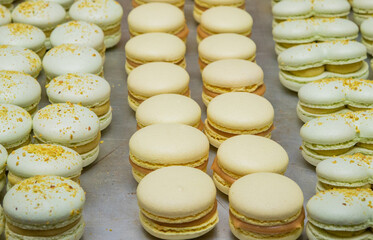 Fresh macarons of different colors