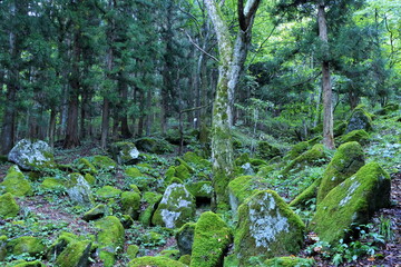 日本　遠野の風景