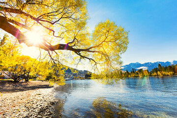 Gloden Autumn season with Beautiful romantic lake in a park with colorful trees and sunlight. autumn natural background