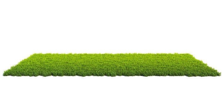 Ground grass on sale