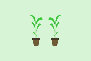 plant vector design illustration