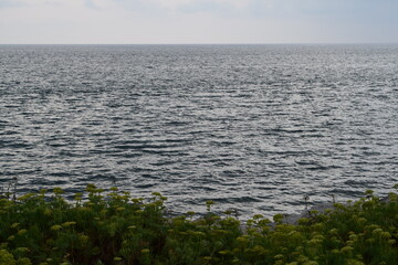 paesaggio di mare con nuvole