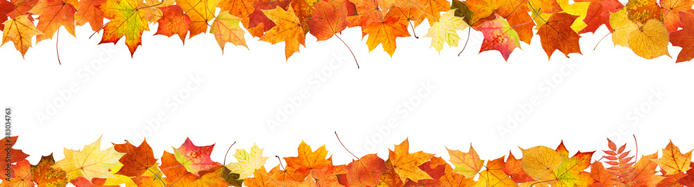 Poster frame from colored autumn leaves isolated on white background