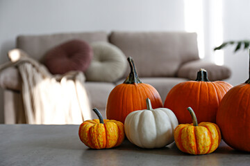 Bunch of classic orange, hooligan and baby boo pumpkins on marble textured table as a symbol of...
