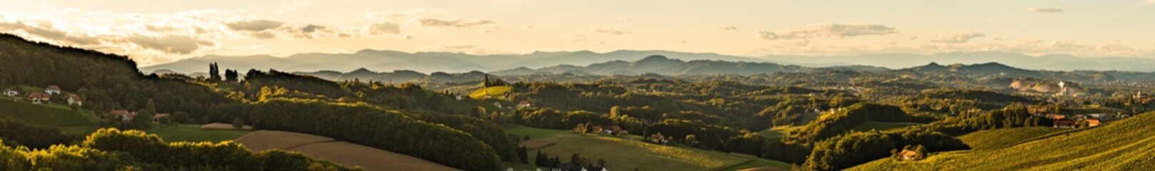Fototapeta na wymiar Sunset panorama of wine street in Styria. Fields of grapevines.
