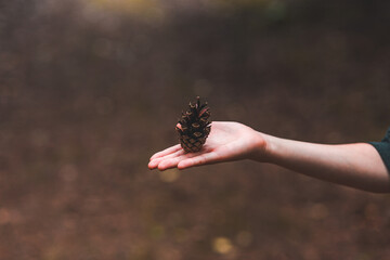 Palm bump. Country life. Back to nature. Nature