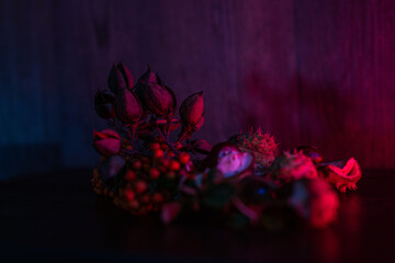Hülsen, Beeren und Kastanien auf einem Holztisch drapiert und mit blauem und rotem Licht beleuchtet