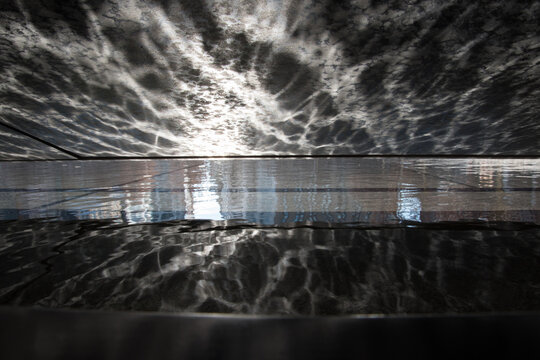 Sky Raining Radiographs 「Radiographie」の写真素材 | 1,123件の無料イラスト画像 | Adobe Stock