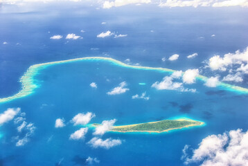 Reef Plates Fiji