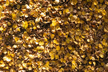 background with gold