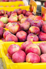 Honey crisp apples at an outdoor market in yellow baskets