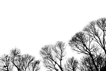 Silhouettes of trees on a white background.