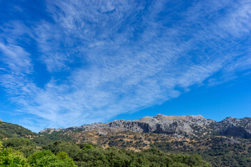 vistas de la sierra del Endrinal en el parque natural de Grazalema, Andalucía