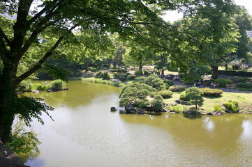 Fototapeta premium 日比谷公園