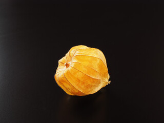 ほおずきを白背景で