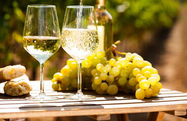 glass of White wine ripe grapes and bread on table in vineyard