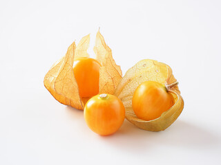 ほおずきを白背景で