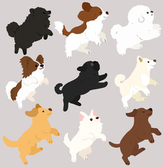 Set of flat colored adorable and fluffy dogs jumping